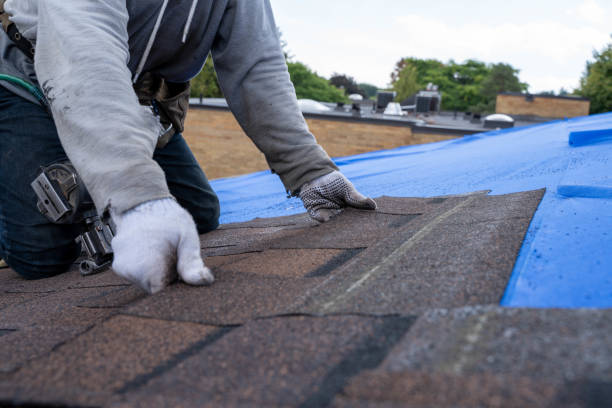 Residential Roof Replacement in Elmo, TX