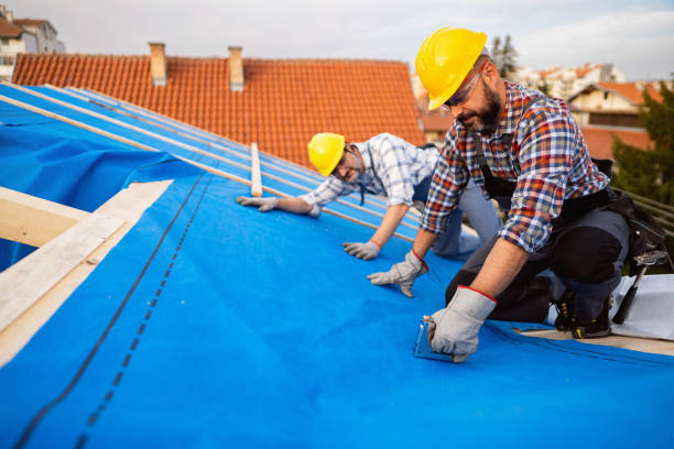 Best Storm Damage Roof Repair  in Elmo, TX