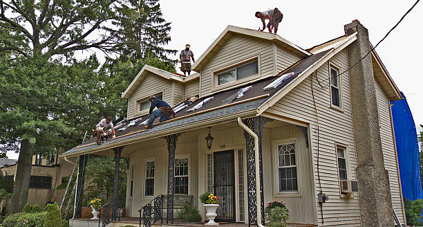 Best Local Roofing Companies  in Elmo, TX
