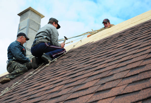 Quick and Trustworthy Emergency Roof Repair Services in Elmo, TX